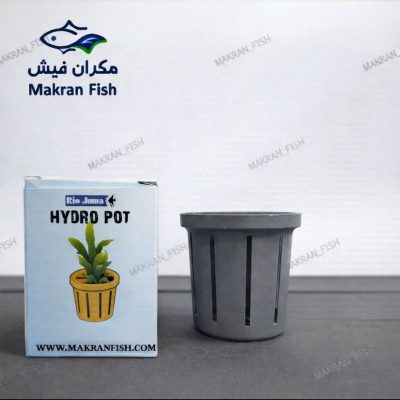 گلدان کاشت گیاه هیدروپات