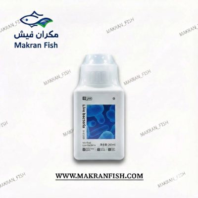 باکتری 1 YEE