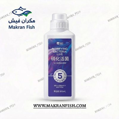 باکتری 5 زنده برند YEE